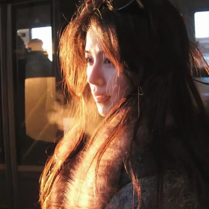 剧场版 秘密战队五连者