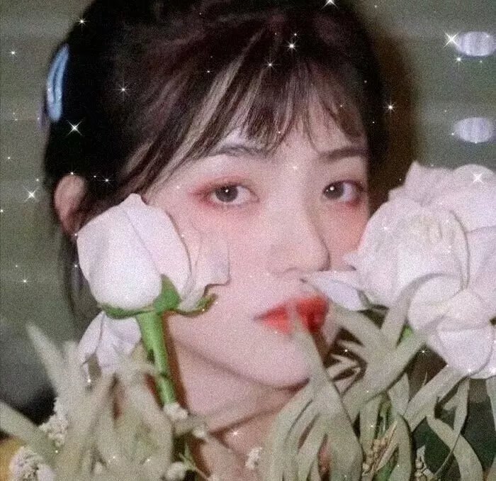 警花与警犬